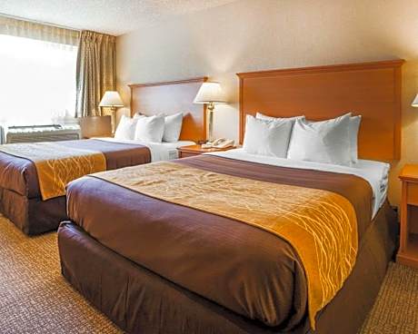 Efficiency Queen Suite with Two Queen Beds and Sofa bed - Non Smoking