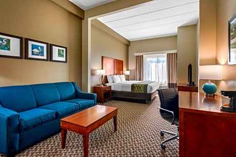 1 King Bed, Suite, Nonsmoking