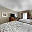 Best Western Plus Buda Austin Inn & Suites