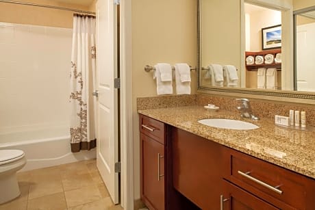 Suite, 1 Bedroom (1 King Bed and 1 Double Sofa Bed)