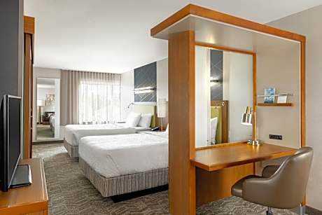 Deluxe Queen Suite