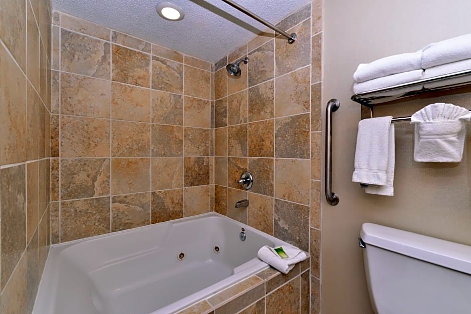 Holiday Inn Express Hotel & Suites Indianapolis W - Airport Area