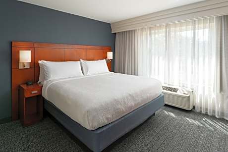 1 Bedroom 2 room Suite, 1 King, Sofa bed
