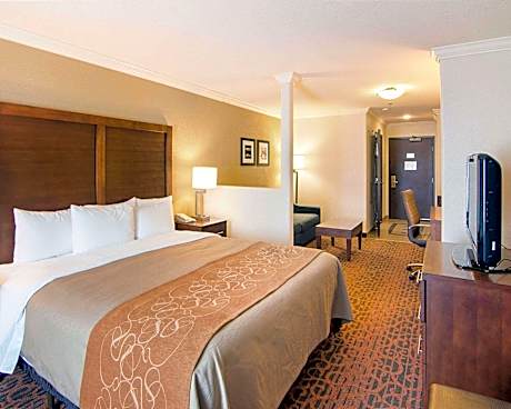 1 King Bed, Business Room, Suite, Nonsmoking