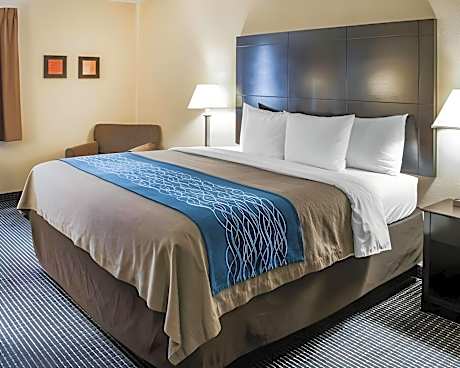 1 King Bed Nonsmoking