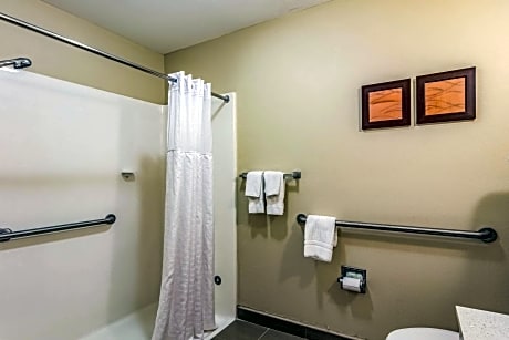 King Suite - Accessible/Non-Smoking