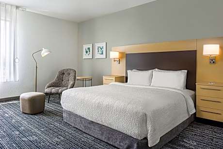 Newly Renovated!, Studio, 1 King, Non-Private Sofa beds: 62