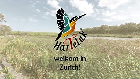 HarTeluk Afsluitdijk Zurich