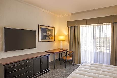 Superior Room, 1 King