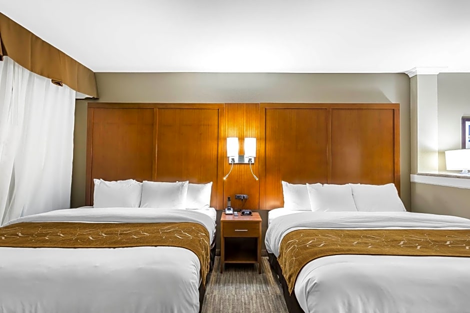 Comfort Suites University