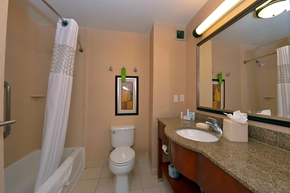 Hampton Inn By Hilton And Suites Bakersfield North-Airport