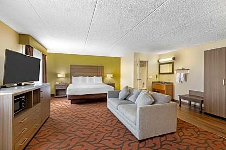 1 King Bed Non-Smoking Larger Room Microwave And Refrigerator Wi-Fi Full Breakfast