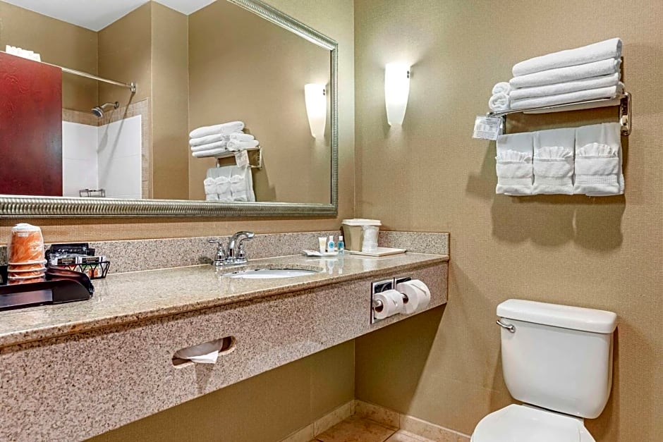 Comfort Suites Palestine
