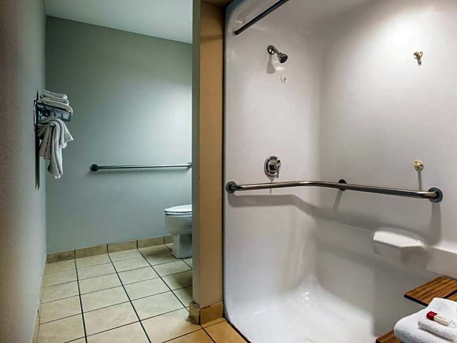 Microtel Inn & Suites by Wyndham Chattanooga/Near Hamilton P