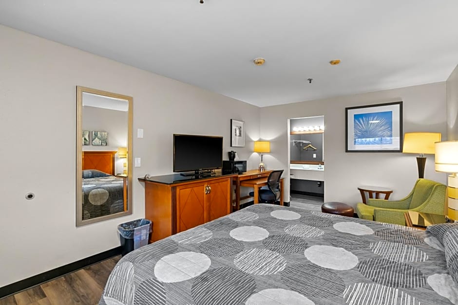 Basecamp Puyallup - photo 27