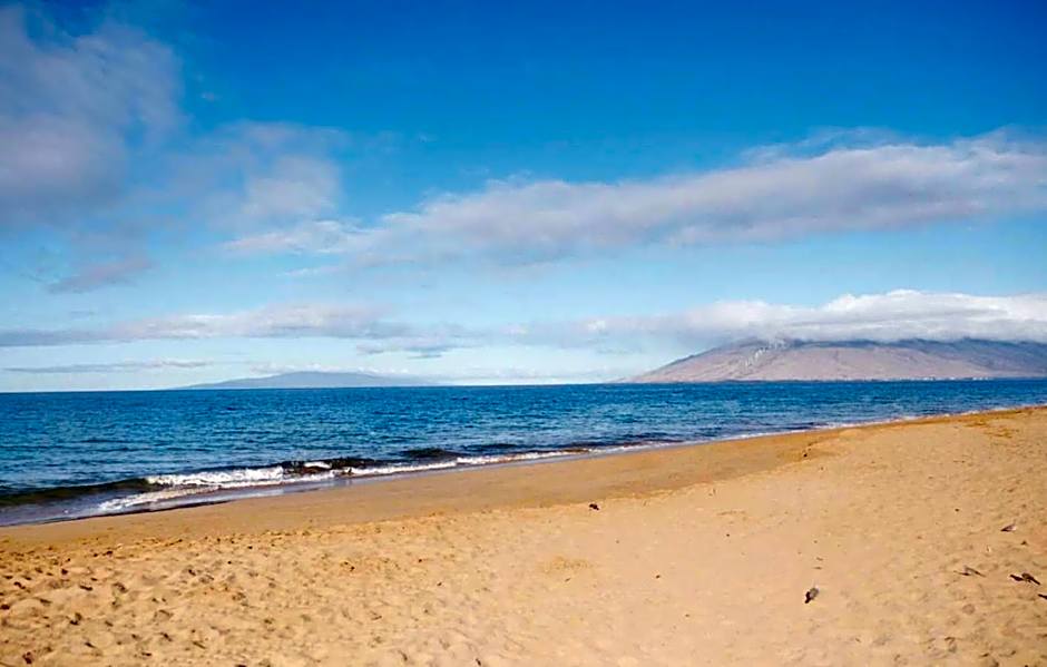 Renovated & Walkable to Beaches, Shops & Dining!