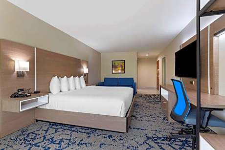 King Room with Roll-In Shower - Accessible/Non Smoking