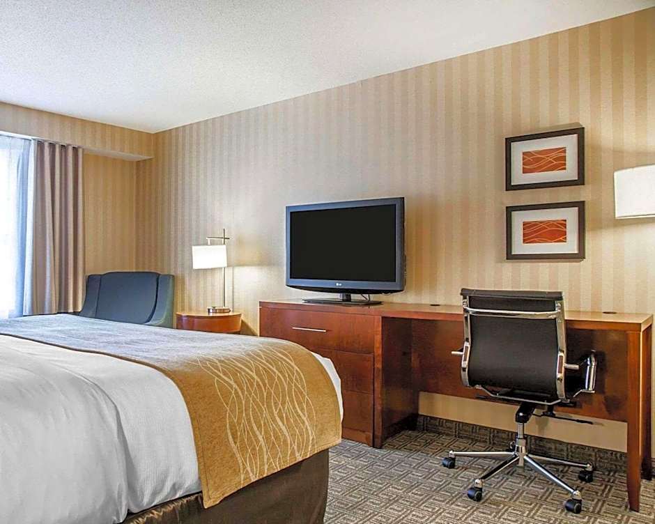 Comfort Inn & Suites Sturbridge-Brimfield