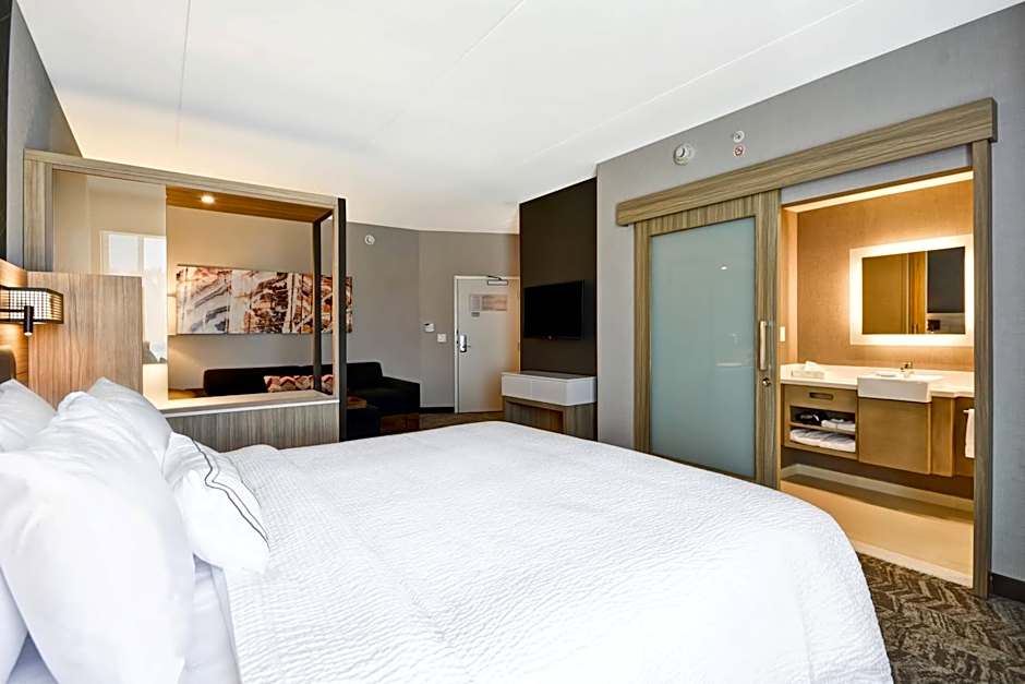 SpringHill Suites by Marriott Cincinnati Blue Ash