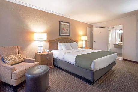 1 King Bed Accessible