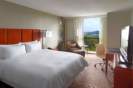 King Room