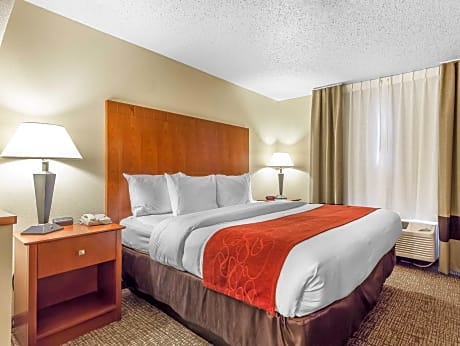 1 King Bed, Suite, Nonsmoking