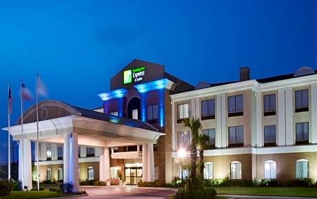 Holiday Inn Express Hotel and Suites Orange