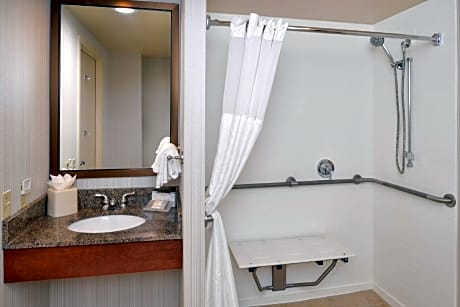 1 King Accessible Roll In Shower