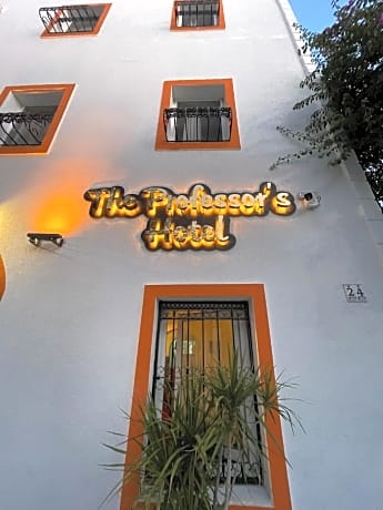The Professor's Hotel
