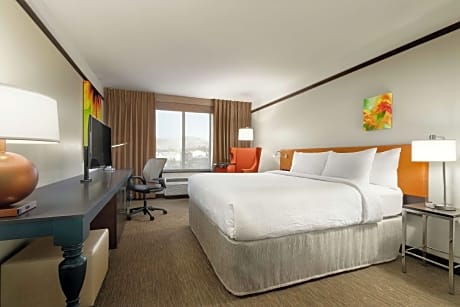 1 King Bed
