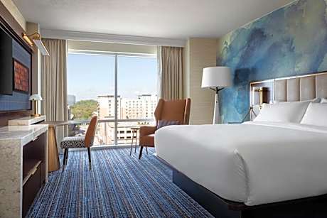 Room, 1 King Bed (Hearing Accessible)
