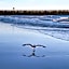 Atlantic City-Waterfront Park-Amazing 360 views