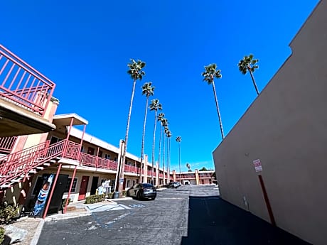 Palm Tree Inn