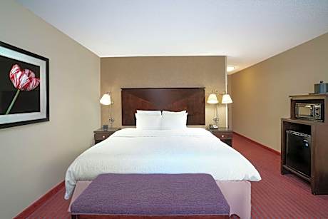 1 King Bed Nonsmoking