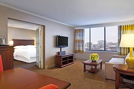 King Suite with Sofa Bed