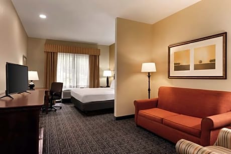 1 King Bed, Suite, Nonsmoking