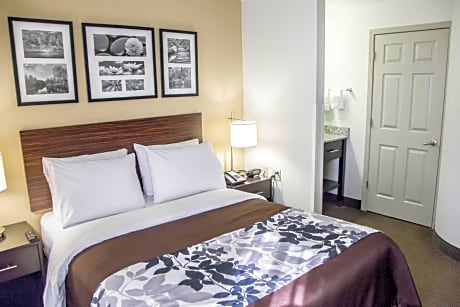 1 Queen Bed, Nonsmoking