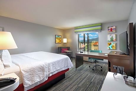 King Room with Accessible Tub - Mobility and Hearing Access/Non-Smoking