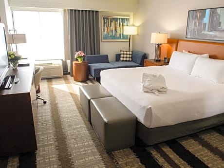 Premium King Room
