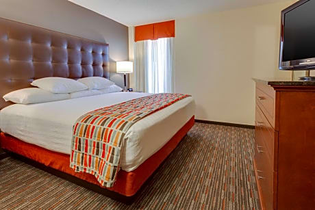 King Suite with Sofa Bed