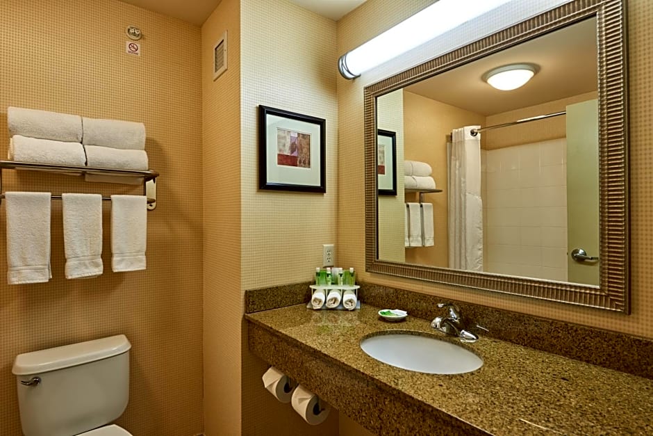 Holiday Inn Express & Suites El Paso Airport