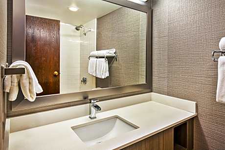 1 King 2 Rm Suite With Kitchenette And Jettub