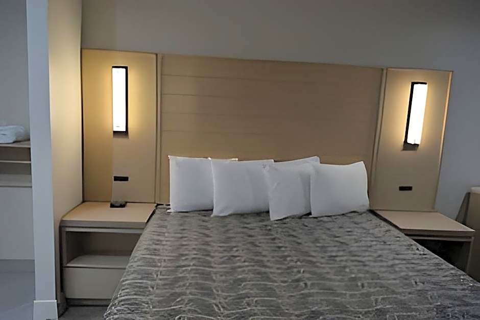 Palace inn Blue IAH
