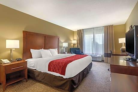 1 King Bed, Nonsmoking
