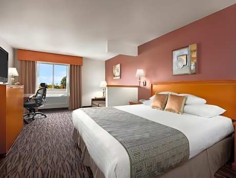 King Room