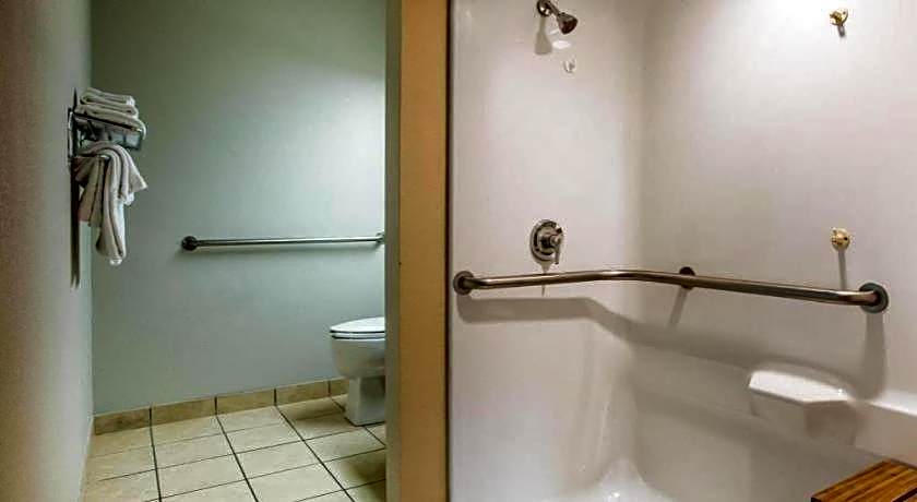 Microtel Inn & Suites by Wyndham Chattanooga/Near Hamilton P