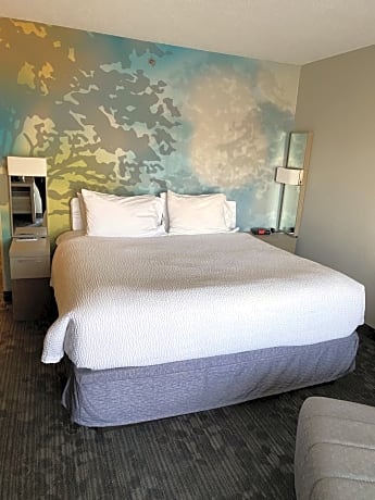 Room, 1 King Bed with Sofa bed (Mobility/Hearing Accessible, Tub) (1 King Bed and 1 Double Sofa Bed)