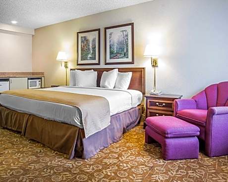 1 King Bed Nonsmoking