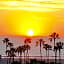 Hotel Erwin Venice Beach