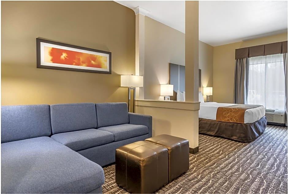 Comfort Suites Near Sam Houston Race Park